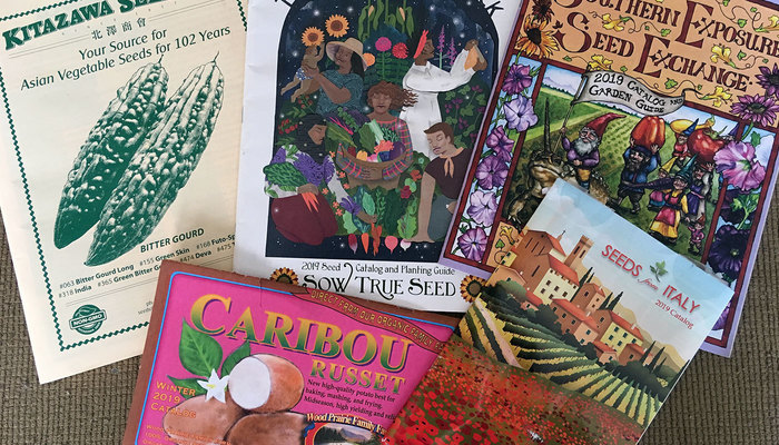 Seed Catalogs
